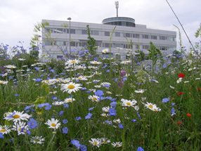 Stadtgut 1