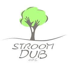 Stroom-Dub