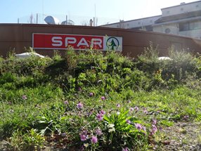 spar linz froschberg 3